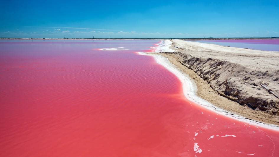 Las Coloradas, Mexico: Home of the Pink Lake