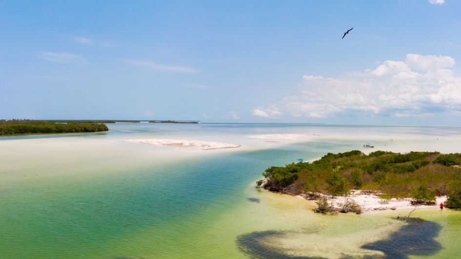 The Secret Sanctuary of Isla Holbox: A Marine Utopia Uncovered