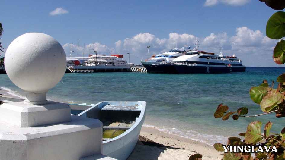 Cozumel's Natural Splendor: A Paradise for Nature Enthusiasts